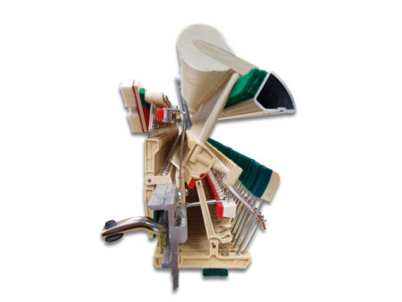 506-508-607 Abs Action