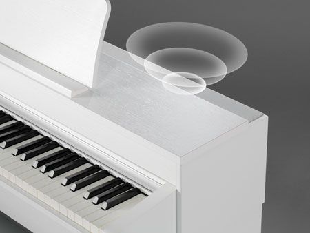 CN Series Digital Piano Speakers