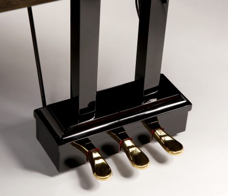 CP1 Grand Feel Pedal System