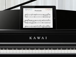 DG30 Bluetooth Feature