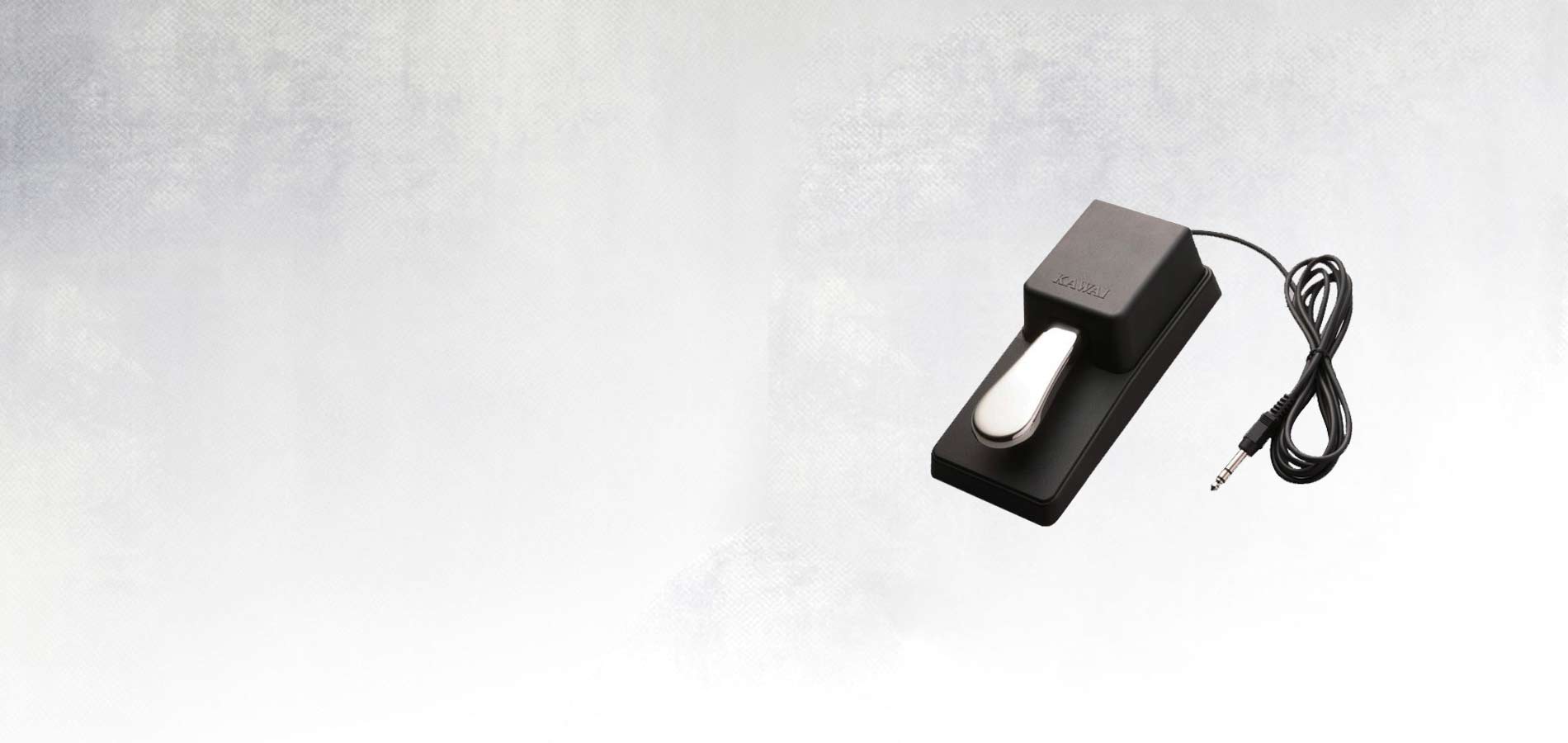 F 10H Foot Pedal Top Image