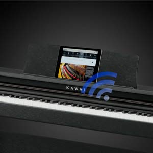 Kawai CE KDP KCP CL Series Portable Piano Stand
