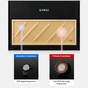 TwinDrive Soundboard Speaker System